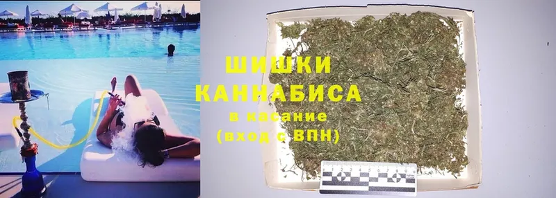 Конопля SATIVA & INDICA  Руза 